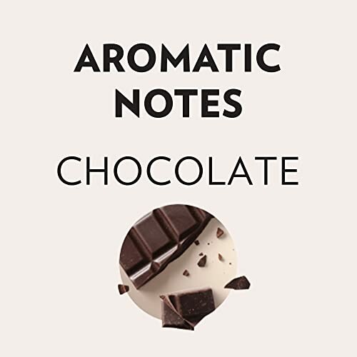 Aromatic notes chocolate with chocolate pieces