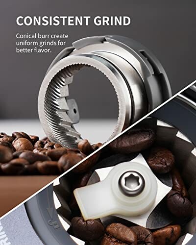 Conical burrs for consistent coffee grind with coffee beans.